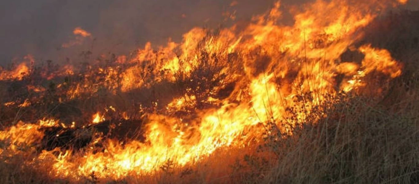 Πυρκαγιά στο Καλαμίτσι Χαλκιδικής